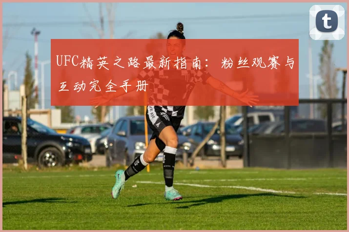 UFC精英之路最新指南:粉丝观赛与互动完全手册