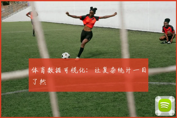 体育数据可视化：让复杂统计一目了然