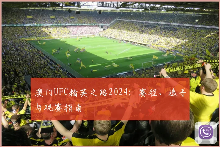 澳门UFC精英之路2024：赛程、选手与观赛指南