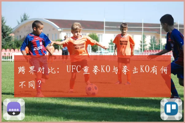跨界对比：UFC重拳KO与拳击KO有何不同？